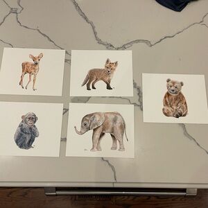 Animal prints 8x10